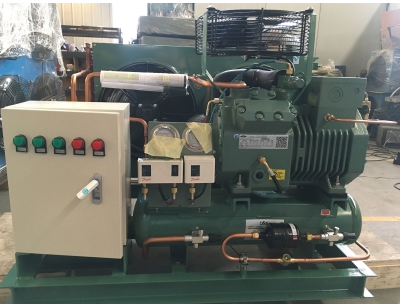 香蕉视频下载APP冷庫壓縮機組